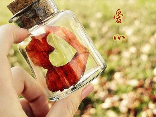 有大道理的晨会小故事